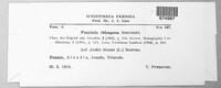 Puccinia thlaspeos image